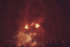 Bionýsie - Psychedelic Goa Festival  2018