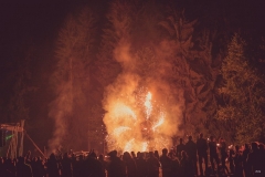 Bionýsie - Psychedelic Goa Festival  2018
